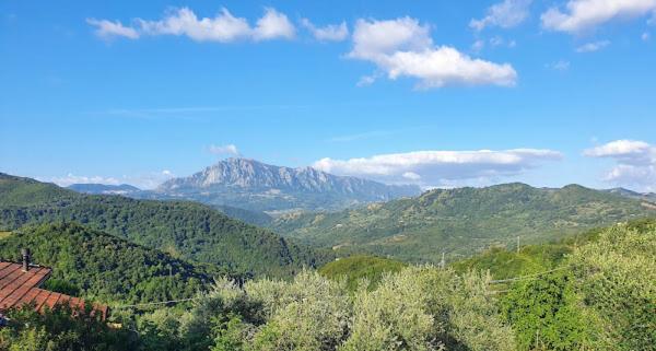 Del Parco 3*